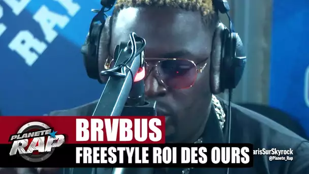 Brvbus "Freestyle roi des ours" #PlanèteRap