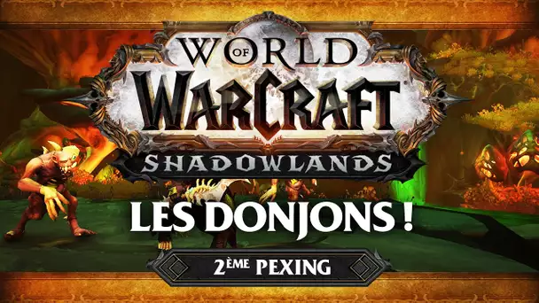 WoW Shadowlands #12 : Les donjons de Shadowlands ! (ft. Lapi, Gius, Kenny et Flora)