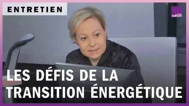 Environnement, croissance, inégalités : les défis de la transition énergétique