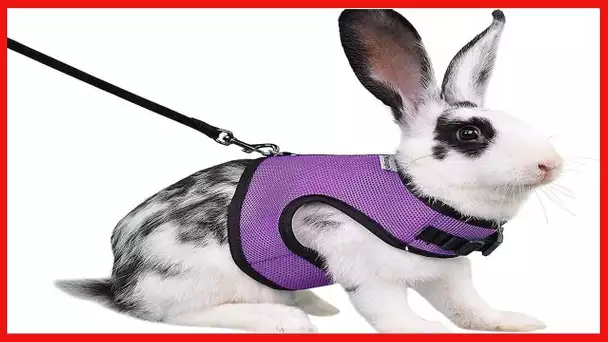 Niteangel Adjustable Soft Harness with Elastic Leash for Rabbits (M, Purple)