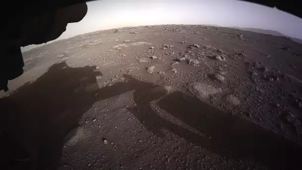 Toutes les dernières informations suite à l'arrivée du rover Perseverance sur Mars commenté en FR