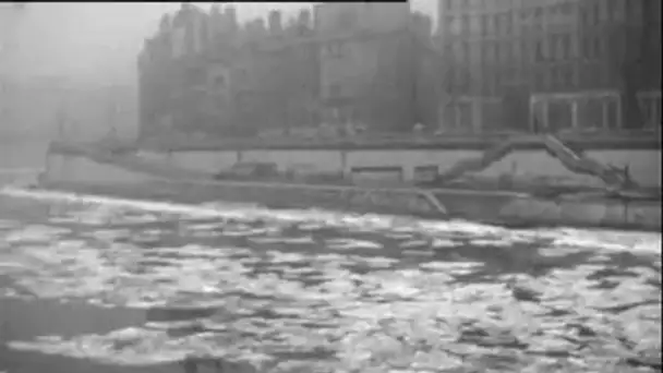 Froid à Lyon : Saône, bassins, boulodrome du parc