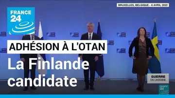 La Finlande se prononce pour une adhésion "sans délai" à l'Otan • FRANCE 24