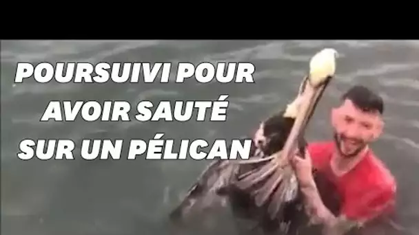 Après avoir sauté sur un pélican, il est poursuivi en justice