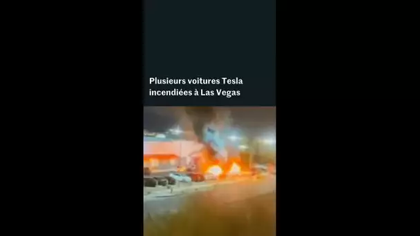 Elon Musk : les actes de vandalisme contre Tesla se multiplient