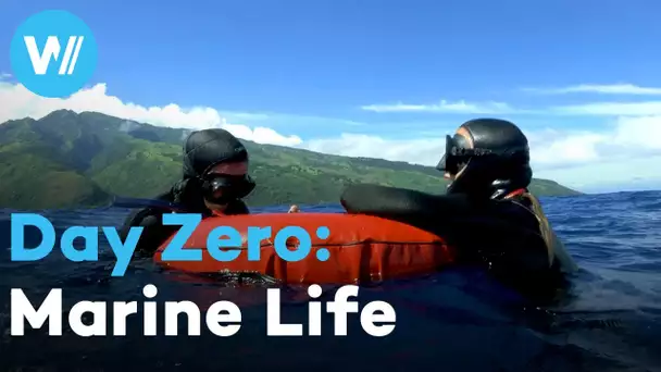 Climate change and how it endangers the rare intact marine life on paradise islands | Day Zero (1/3)