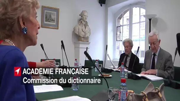 Académie française : le travail du dictionnaire #Francophonie #20mars