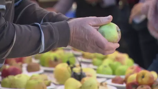 Les 20 ans des Croqueurs de pommes en Haute-Vienne
