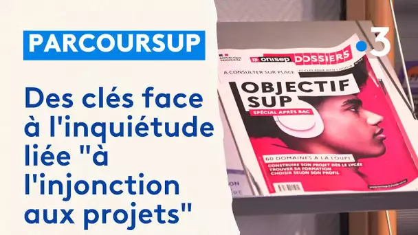 Parcoursup. CIO, coach individuel, des clés face à l'inquiétude liée "à l'injonction aux projets"