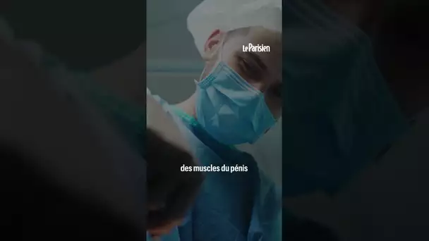 Des microplastiques retrouvés pour la première fois dans des pénis humains