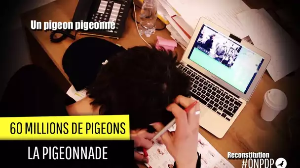 60 Millions de Pigeons: le Pigeon pigeonné