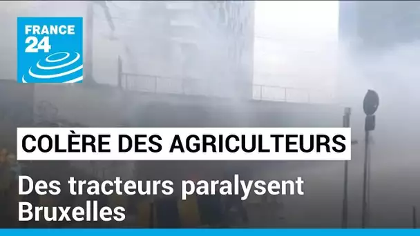 Des tracteurs paralysent Bruxelles, les 27 révisent les règles agricoles • FRANCE 24