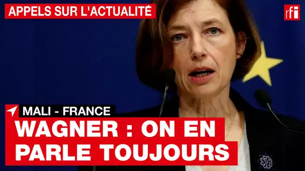 Affaire Wagner : que retenir de la visite de Florence Parly au Mali ? • RFI