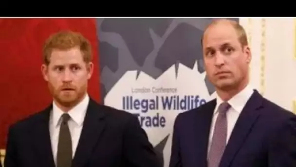 La querelle du prince Harry et William "très mauvaise" Duke "comme Bridget Jones avec un couple parf