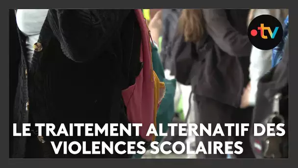 Le Traitement alternatif des Violences Scolaires (TVS)