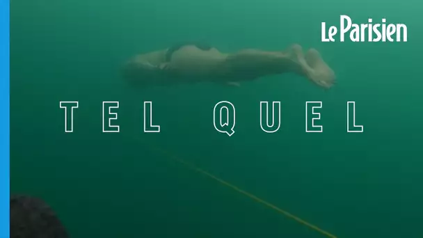 Il nage 80,9 m sous la glace en maillot de bain : les images du record du monde de David Vencl