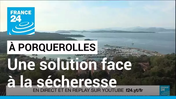 Sécheresse en France : à Porquerolles, des eaux usées pour l'agriculture • FRANCE 24