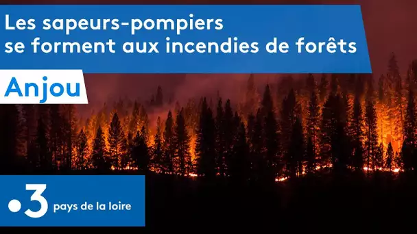 Anjou : les sapeurs-pompiers se forment aux incendies de forêts