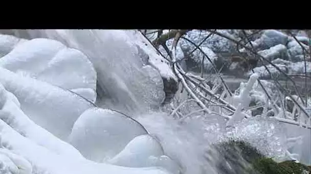 Quand la vague de froid glace les paysages de Franche-Comté