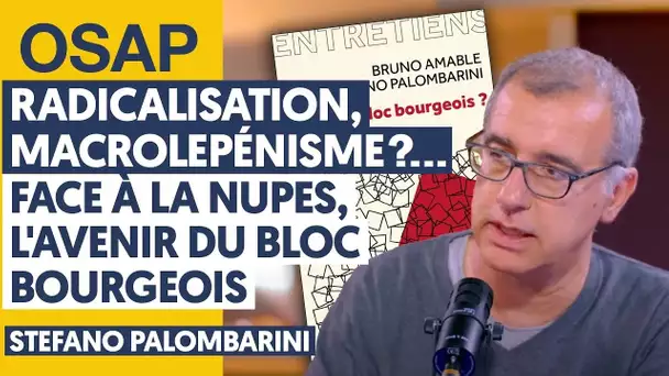 RADICALISATION, MACROLEPÉNISME ?... FACE À LA NUPES, L'AVENIR DU BLOC BOURGEOIS | S. PALOMBARINI