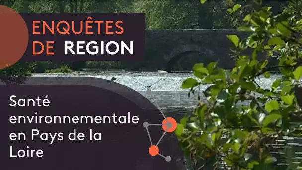 Enquêtes de région : santé, un environnement qui fait mal !