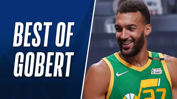 The Best Of Rudy Gobert | 2020-21 Regular Season