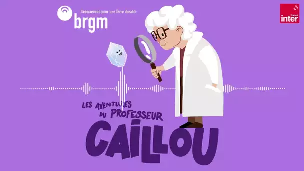 L'or - Les aventures du professeur Caillou