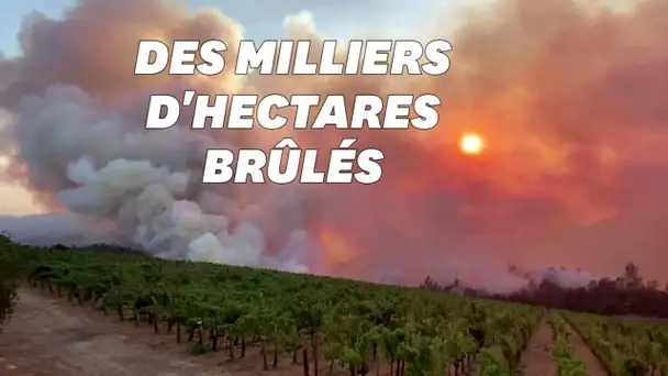 Les célèbres vignobles de la Napa Valley en Californie ravagés par les flammes