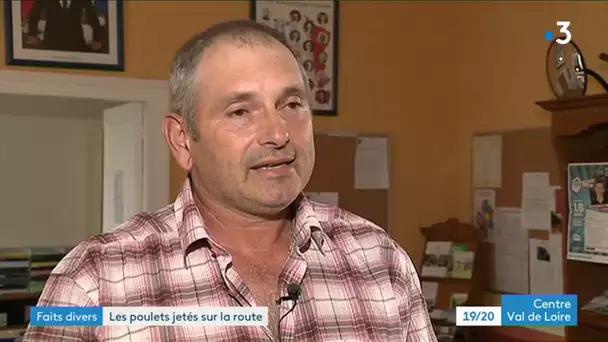 Maillet : 160 carcasses de poulets retrouvées dans la commune