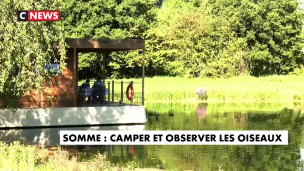 Somme : camper tout en observant les oiseaux