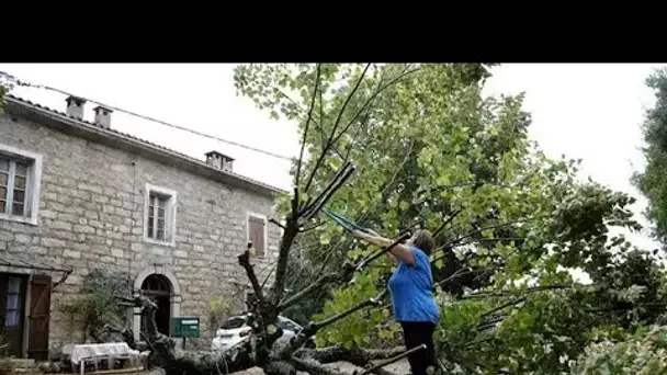 Alizée en Corse, son jardin dévasté par des violents orages