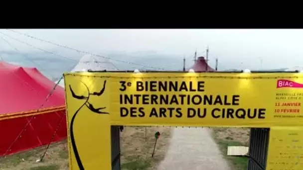 Les coulisses de la biennale du cirque à Marseille 2019