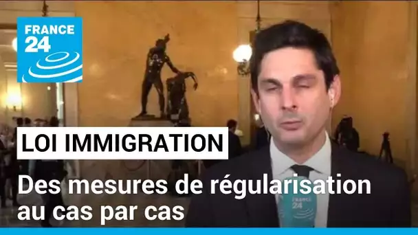 Projet de loi immigration : des mesures de régularisation au cas par cas • FRANCE 24