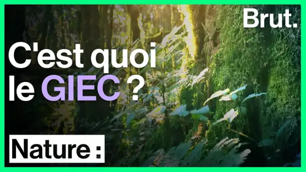 C'est quoi le GIEC ?