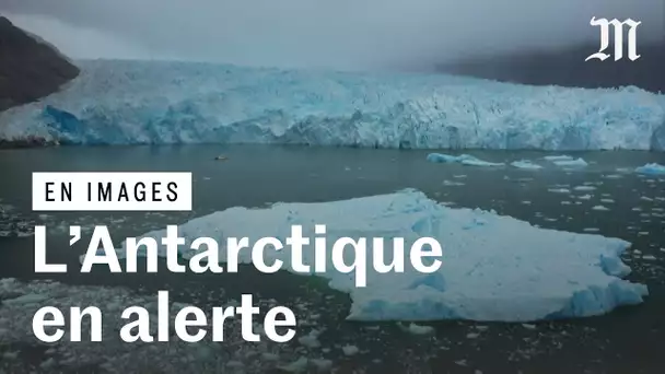 Les glaces de Antarctique semblaient préservées. Plus maintenant.