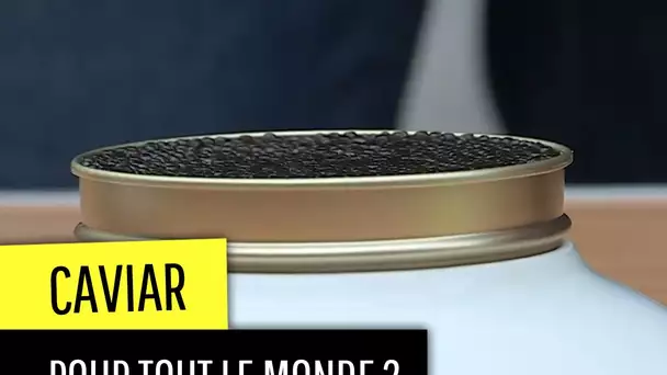 Le caviar, accessible à tous ?