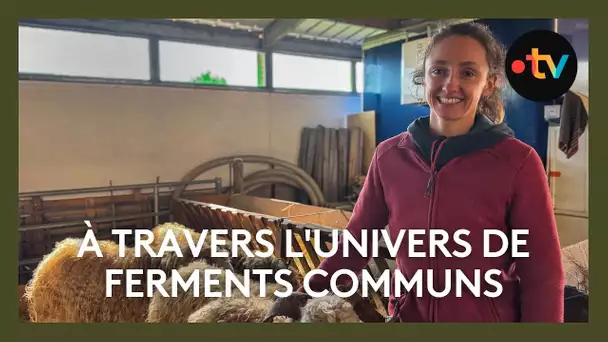 "Ferments Communs", une coopérative agriculturelle qui mêle agriculture biologique et artisanat