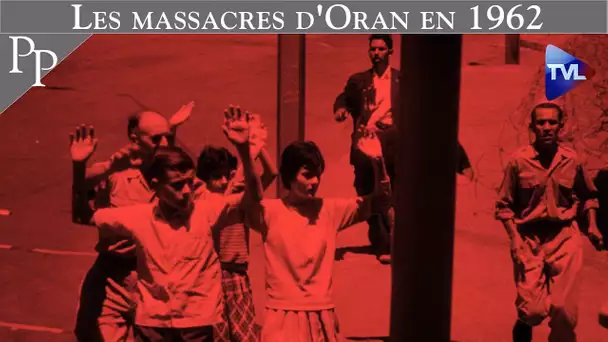 Les massacres d'Oran en 1962 - Passé-Présent n°250 - TVL