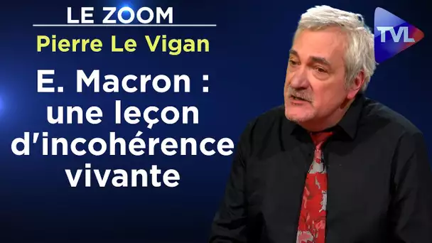 E. Macron est-il machiavélique ? - Le Zoom - Pierre Le Vigan - TVL