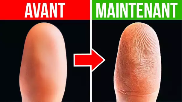 Les bouts de doigts perdus repoussent avec le même motif, et d’autres faits sur le corps humain