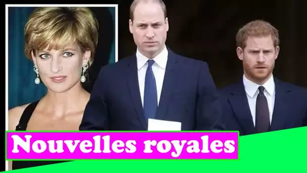 Harry et William ONT REFUSÉ des conseils sur le deuil après la mor.t de Diana - "Allons-y"