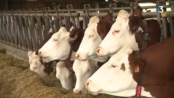 Vers une charte de bon voisinage sur l'usage des pesticides dans le Territoire de Belfort