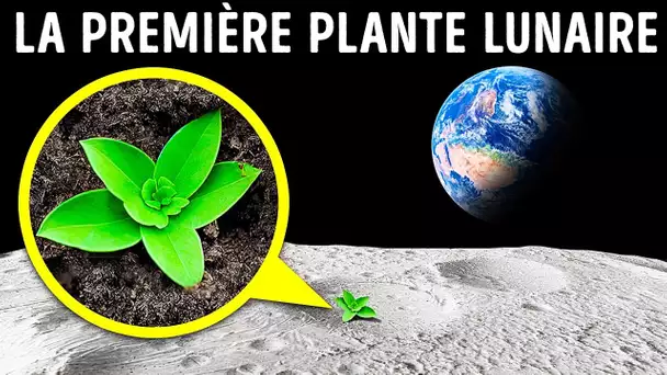 Des Plantes Sur La Lune + Quelques-Uns Des Faits Les Plus Incroyables Sur Les Plantes