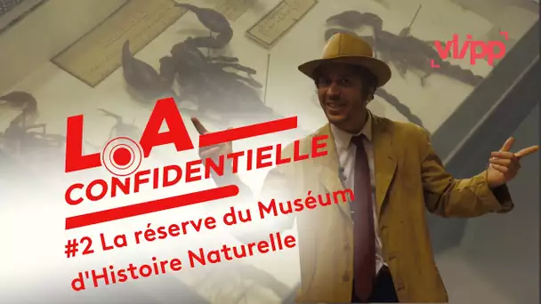 L.A Confidentielle : les fantastiques animaux de la réserve du Muséum d’Histoire Naturelle