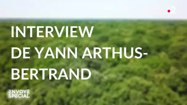 Envoyé spécial. Interview de Yann Arthus-Bertrand - Jeudi 28 mai 2020 (France 2)