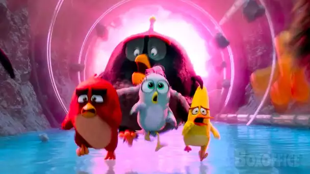 L'accident des boules de lave | Angry Birds 2 | Extrait VF