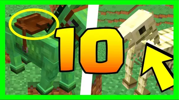 LE SAVIEZ VOUS ? 10 SECRETS SUR LES CHEVAUX ZOMBIES/SQUELETTES MINECRAFT