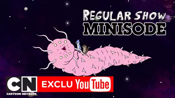 Le ver de l&#039;espace | Minisode Regular Show | Cartoon Network