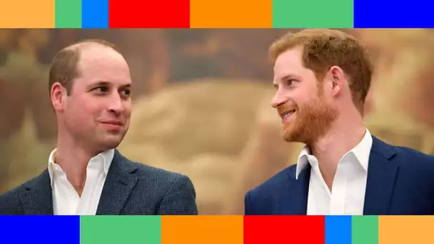 Harry & Meghan (Netflix) : une tendre lettre du prince William envoyée à son frère Harry dévoilée