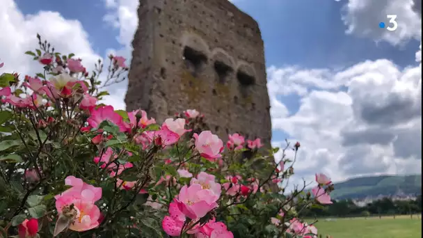 Découvrez les vestiges gallo-romains et voyagez à travers les âges à Autun